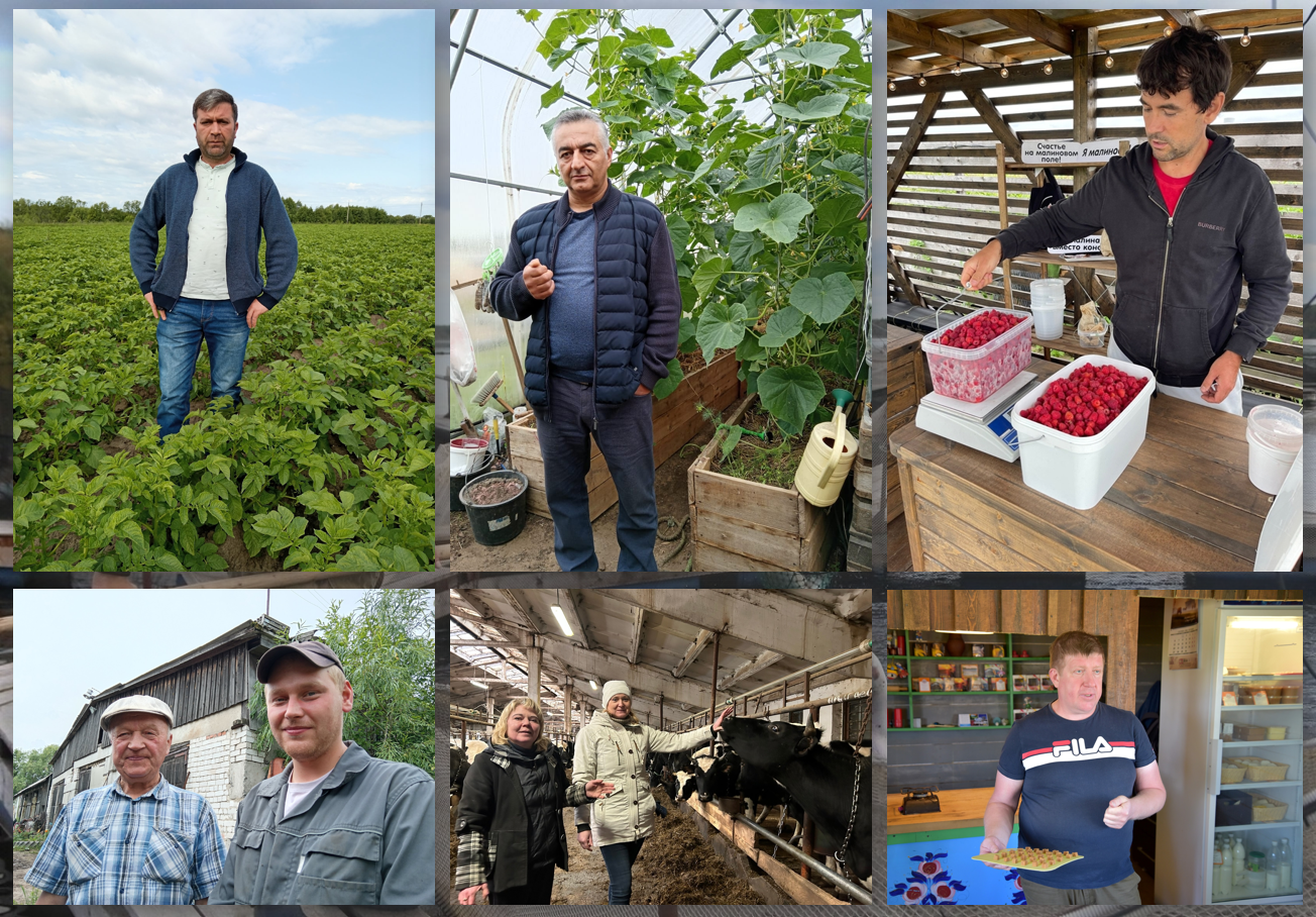 Приморский муниципальный округ – первые итоги сельскохозяйственного года